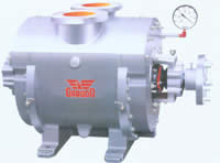 LIQUID / WATER RING VACUUM PUMPS 